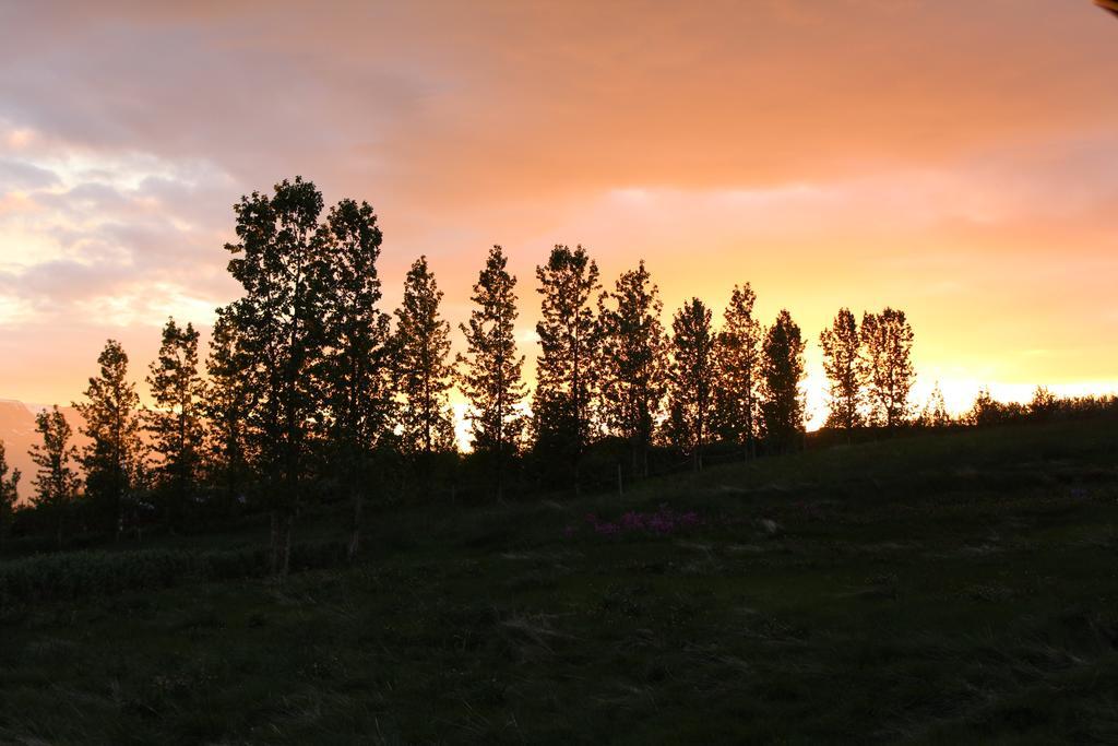 Akureyri Log Cottage Esterno foto